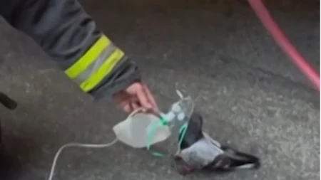 Dirljiva scena obišla planetu: Vatrogasci daju kiseonik golubu koji se nagutao dima u požaru