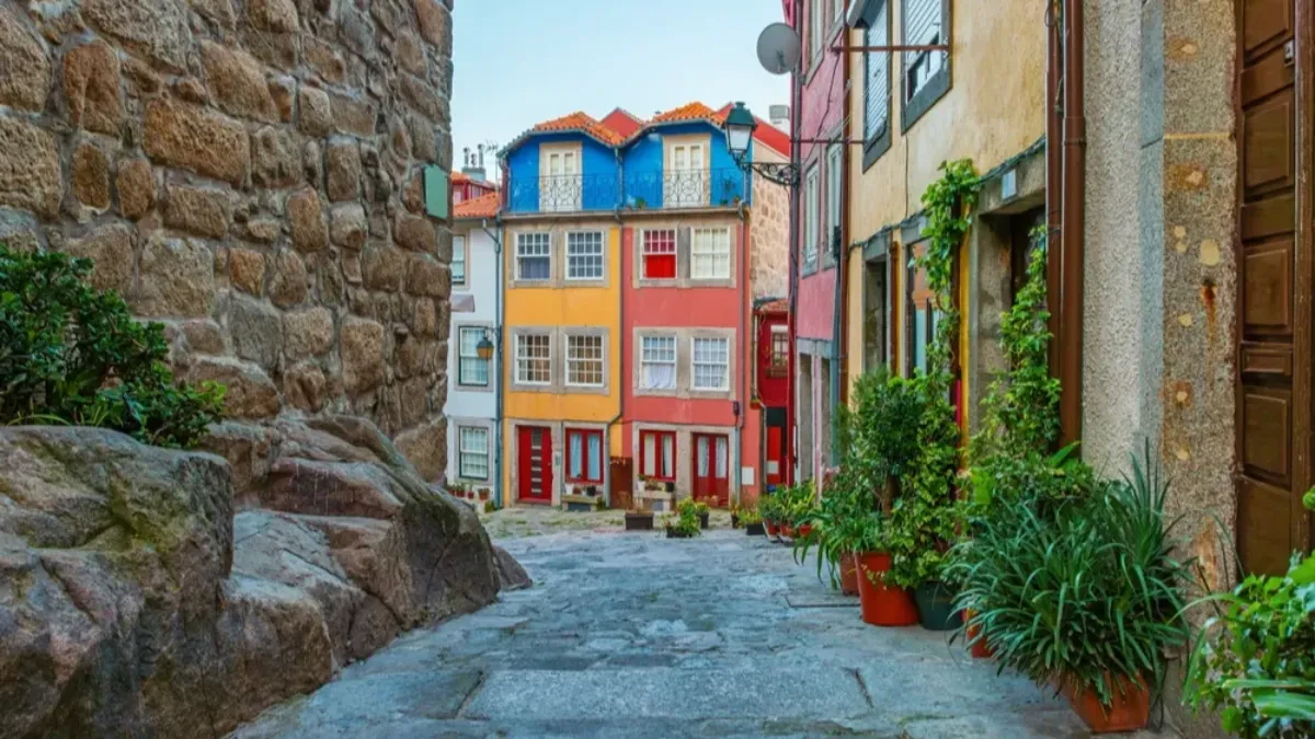Redak otrovni pauk šokirao naučnike: Pronađen je u popularnom turističkom gradu - "Ovo je prvi zabeleženi slučaj"