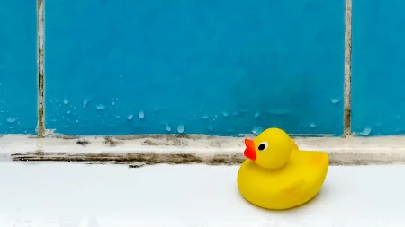 Stavila sam ovo na buđ u tuš kabini: Ujutru nije bilo ni traga od crnih fleka