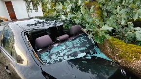 Nevreme je ovde napravilo haos" Oluja rušila drveće, uništena kola