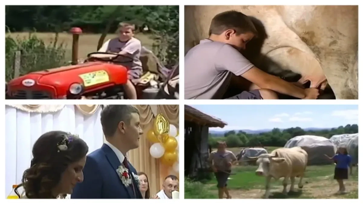 Cela Srbija je plakala zbog malog Milije: Sam je brinuo i tati i sestri jer ga je mama napustila! Evo gde je danas