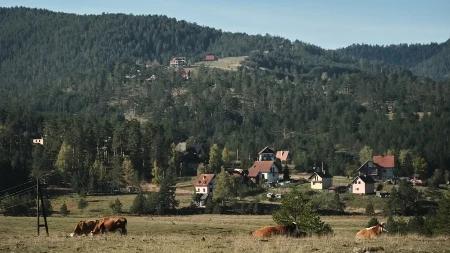 Kuća sa placem od skoro 12 ari prodaje se za 27.000 evra - malo domaćinstvo idealno za beg od gradske gužve