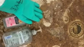 Ušla je u stan i zanemela od prizora: Ono što je zatekla u kupatilu retko ko može da zamisli