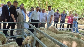 Potvrđeno žarište u Raškoj! Hitno se oglasilo Ministarstvo: Sprovodimo mere