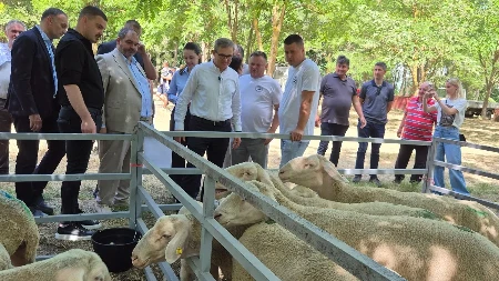Potvrđeno žarište u Raškoj! Hitno se oglasilo Ministarstvo: Sprovodimo mere