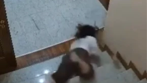 Haos u albanskom parlamentu! Ukrali dokumenta potpisana sa SAD, sekretarica se skotrljala niz stepenice! (VIDEO)