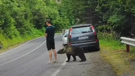 Nije ni slutio da mu je medved iza leđa: Kada se okrenuo, usledio je trenutak čistog užasa