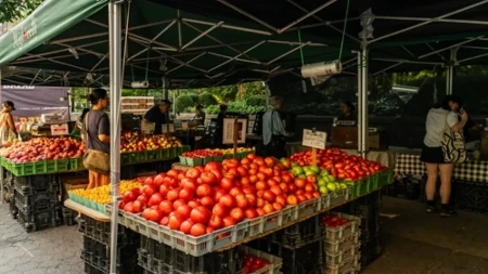 Pravi domaći ili nakljukan hemijom? Jedan detalj na paradajzu otkriva da li je prskan!