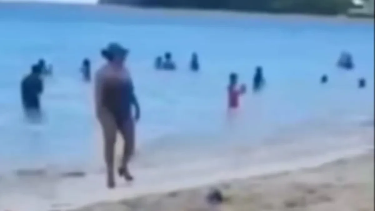 Cela plaža je zanemela kada se pojavila: Ljudi nisu skidali pogled sa jednog neverovatnog detalja