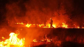 Španija u šoku: Nisu visoke temperature, otrkiveni krivci za najveći požar u istoriji zemlje