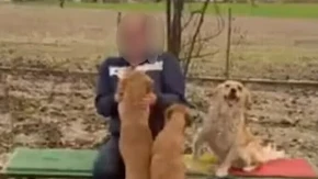 Posle pucnja potegao i sekiru! Novi detalji drame u azilu za pse, policija i dalje na mestu napada