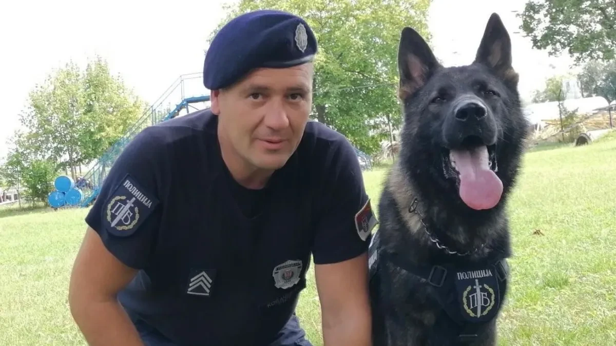 Ovo je Aki, službeni pas MUP-a koji je otkrio telo Ruskinje! Monstruozni zločin rešen u rekordnom roku! (FOTO)