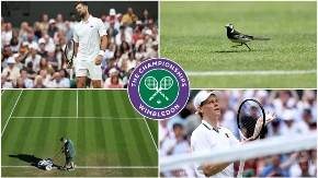 Vimbldon - sedmi dan: Novak na terenu, Siner ima zicer, Novak u četvrtfinalu, a imamo i prvu diskvalifikaciju
