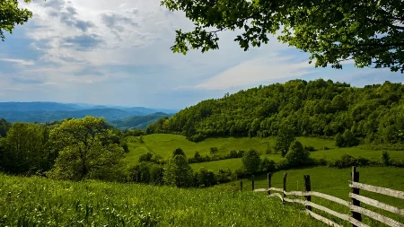 Ko ne ide na more, beži na planinu - kafa sa ratlukom 150 dinara, lepinja sa kajmakom 350