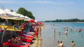 Ada Ciganlija puna MEDUZA! Uznemirujući snimak sa Savskog jezera - došle iz Kine (VIDEO)