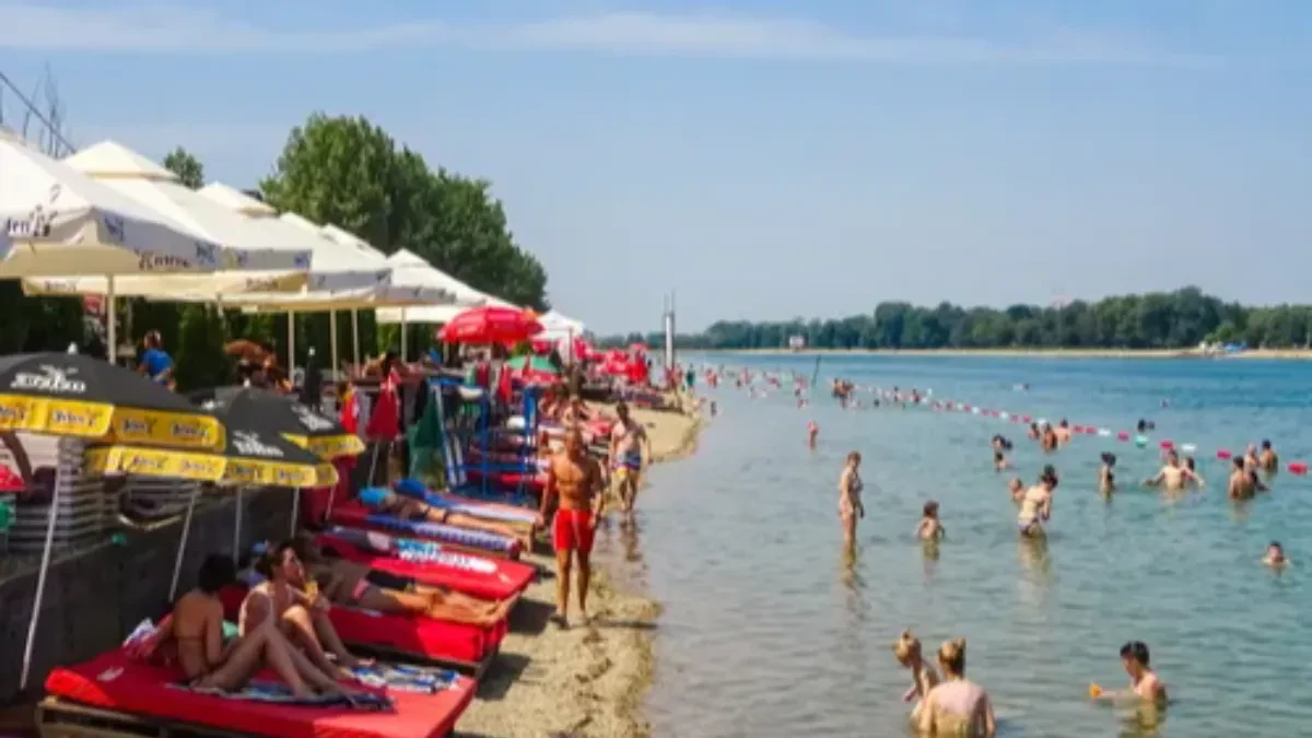 Ada Ciganlija puna MEDUZA! Uznemirujući snimak sa Savskog jezera - došle iz Kine (VIDEO)