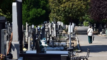 Lopovi iz horor filma na beogradskom groblju: Otvorili 35 grobnica - ženi otkinuli ruku zbog prstena!