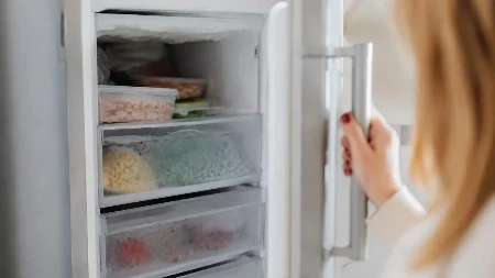 Nemci pre odlaska na odmor stave novčić u zamrzivač: Kažu da tako uštede stotine evra