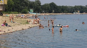 Pojavile se meduze na Adi Ciganliji: Ekspert otkriva da li ima razloga za strah