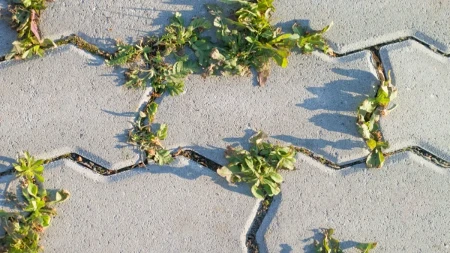 Korov vam niče između ploča na stazi? Ovo će ga osušiti očas posla!