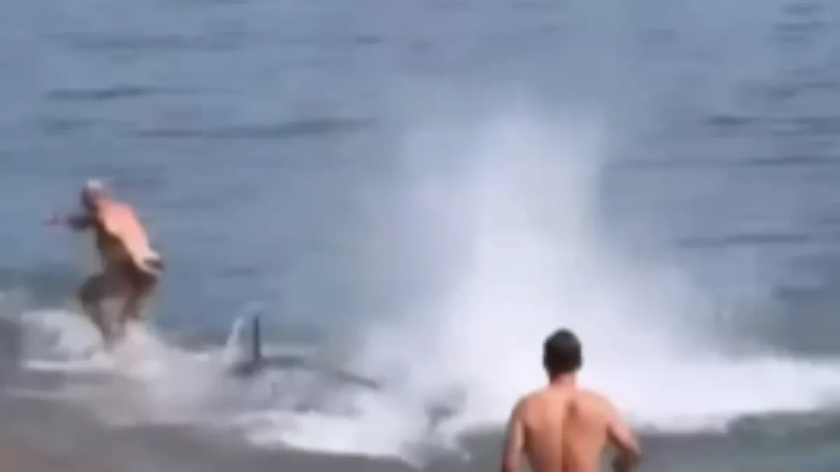 Grdosija se samo stvorila u plićaku i napala plivača: Na plaži je zavladala jeziva tišina - kupači su mogli da urade samo jedno
