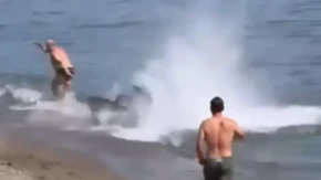 Drama na plaži! Ogromna riba krenula za kupačem, svi mislili da je ajkula, ljudi trčali da mu pomognu! (VIDEO)