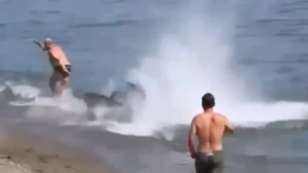 Drama na plaži! Ogromna riba krenula za kupačem, svi mislili da je ajkula, ljudi trčali da mu pomognu! (VIDEO)