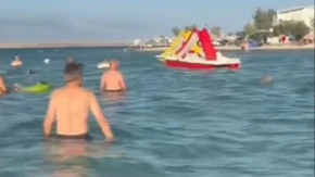 „Marš iz mora!“Ugledao kućnog ljubimca među kupačima, pa poludeo - njegova reakcija zapalila mreže!