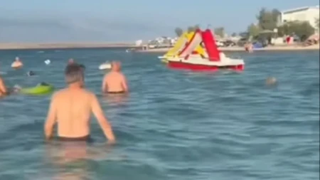 „Marš iz mora!“Ugledao kućnog ljubimca među kupačima, pa poludeo - njegova reakcija zapalila mreže!