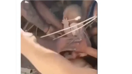 Čudo usred pakla! Iz ruševina izvukli šestomesečnu bebu, a onda se pojavila i njena majka (VIDEO)