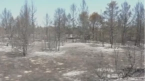 Oglasili su se iz Sektora za vanredne situacije: Najnovije informacije o požarima na dve najteže pogođene lokacije