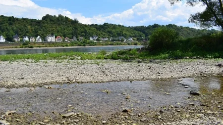 Rajna "presušuje" - nivo reke danas na novom minimumu