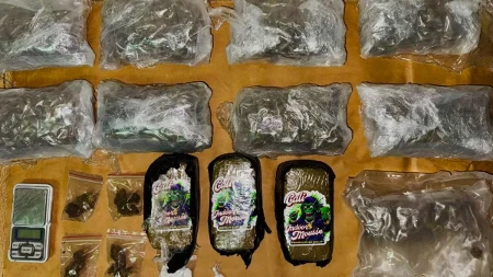 Policija upala u štek stan s drogom: Zaplenjeno više od 2,5 kilograma narkotika u Novom Sadu