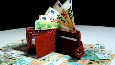 Država daje građanima od 2.557 evra: Evo ko ima pravo na novčanu podršku i koji su uslovi