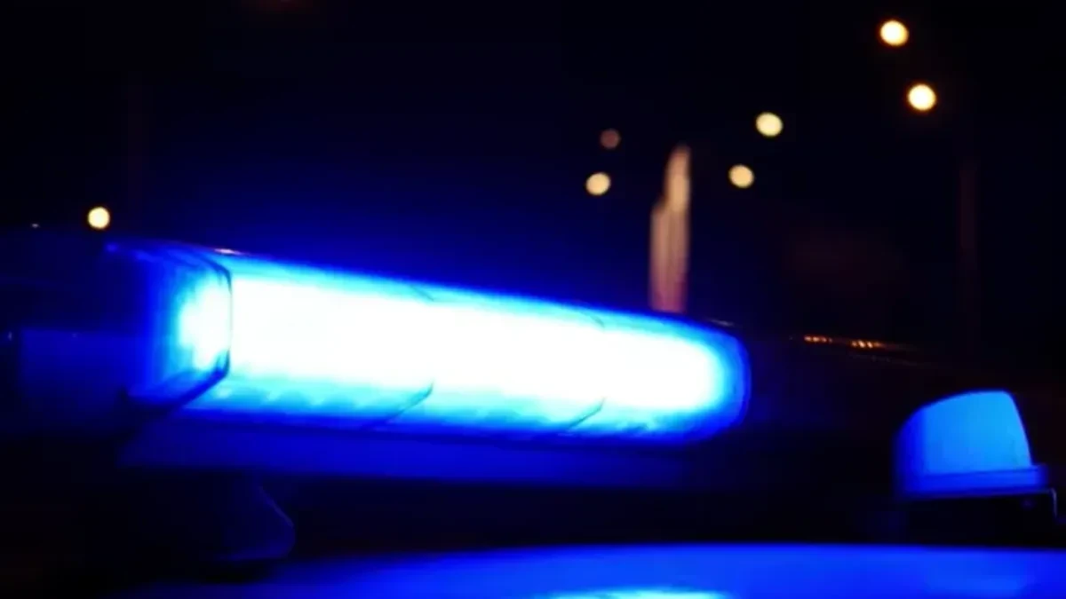 Brutalno: Penzioner (71) nasrnuo na kondukterku zbog karte: Privela ga policija