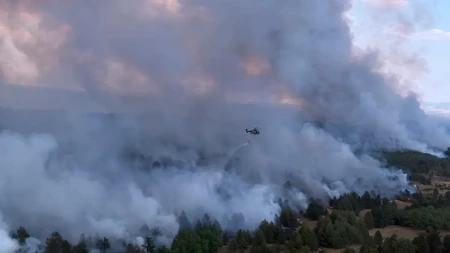 Vatrena stihja sve bliža kućama: Uplašeni meštani pomažu u gašenju požara