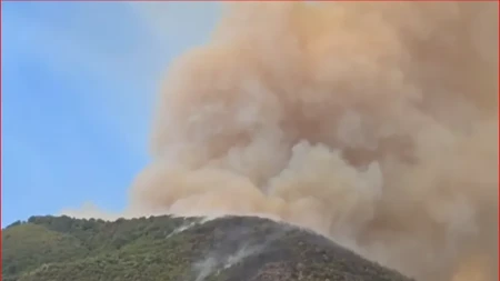 Haos u Crnoj Gori! Naš pevač sa decom pored vatrene stihije: Gusti dim gura sve pred sobom