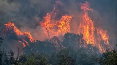 "Situacija je alarmantna" Gori Makedonija, meštani u panici!
