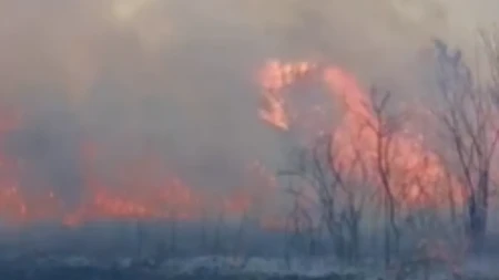 Proglašena vanredna situacija! "Očekuje se dolazak helikoptera da pomogne u gašenju požara"