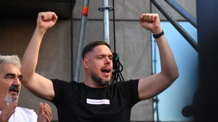 Šta to radite? Slučaj Vladimira Štimca