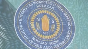 Oglasio se Institut za ratarstvo i povrtarstvo: Ovde nije reč o sukobu uprave sa radnicima, već o tome da svako mora savesno da radi svoj posao