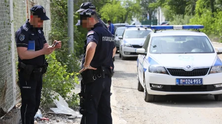 Deca pronašla pištolj u Nišu: Revolver bio bačen u travu, na svega 100 metara od škole, meštani Pasi Poljane uznemireni
