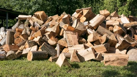 Bagrem, bukva, grab ili hrast - koje drvo najbolje greje kuću?