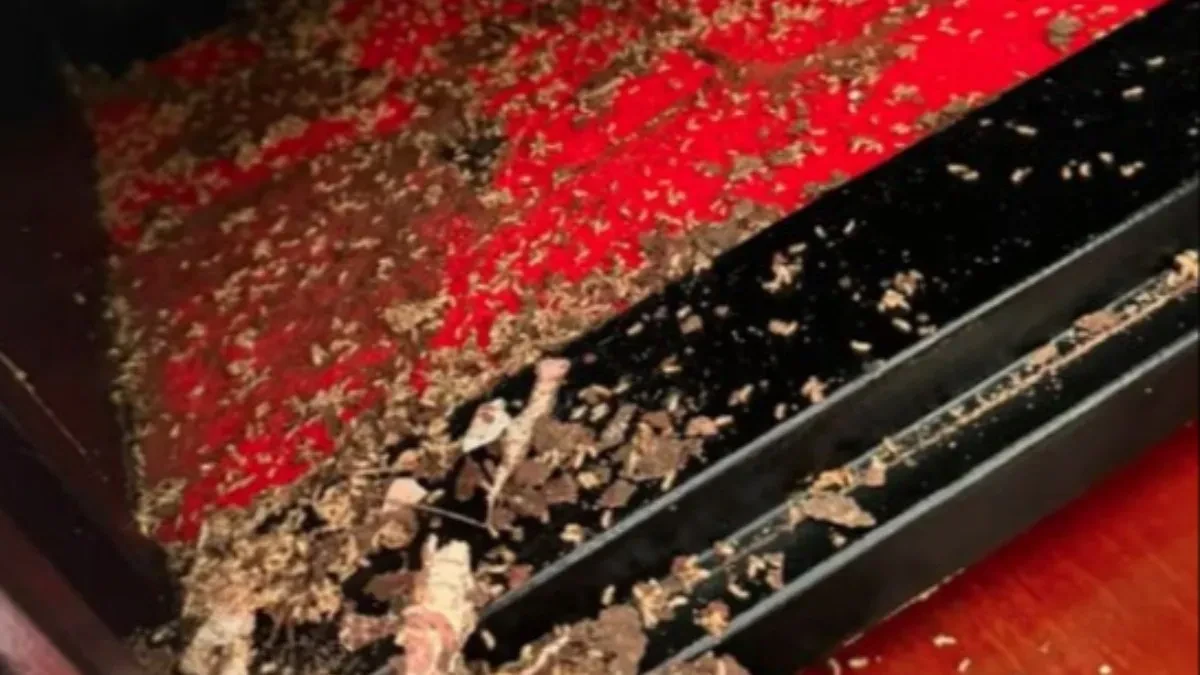 Čuvala novac godinama u sefu, pa doživela noćnu moru: Ono što je pronašla unutra ledi krv