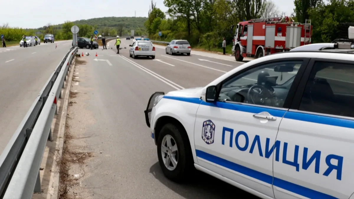Srpske turiste posle udesa u Bugarskoj preuzeo autobus iz Niša: Vozač heroj sprečio katastrofu