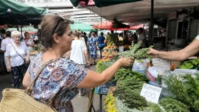 Luka živi kao car od sadnje ove biljke: Dostavlja je na kućni prag kupaca
