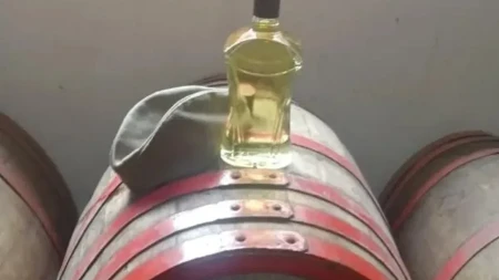 U Kosatici izbor najbolje rakije od divlje kruške na Miholjskim susretima sela