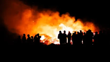 Vatra ih opkolila, hitno otvorene sve kapije! Drama u Srbiji, životinje beže pred vatrenom stihijom