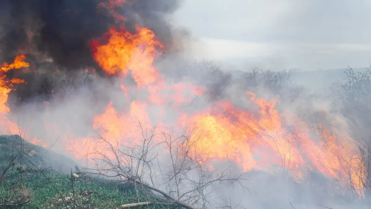 Crna Gora: Helikopteri gase požar na Velestovu kod Cetinja