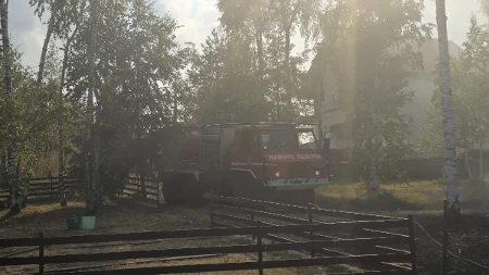 Požari pod kontrolom: Najteže u Deliblatskoj peščari, Dunav ponovo u padu